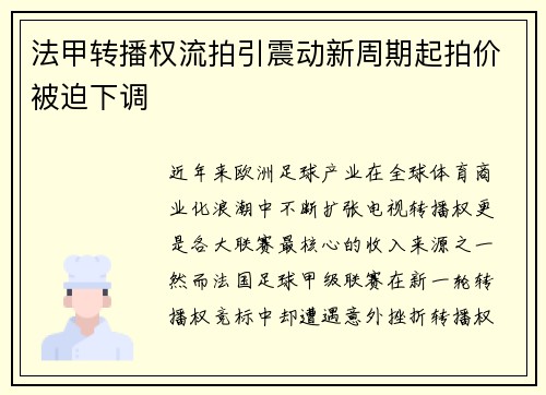 法甲转播权流拍引震动新周期起拍价被迫下调